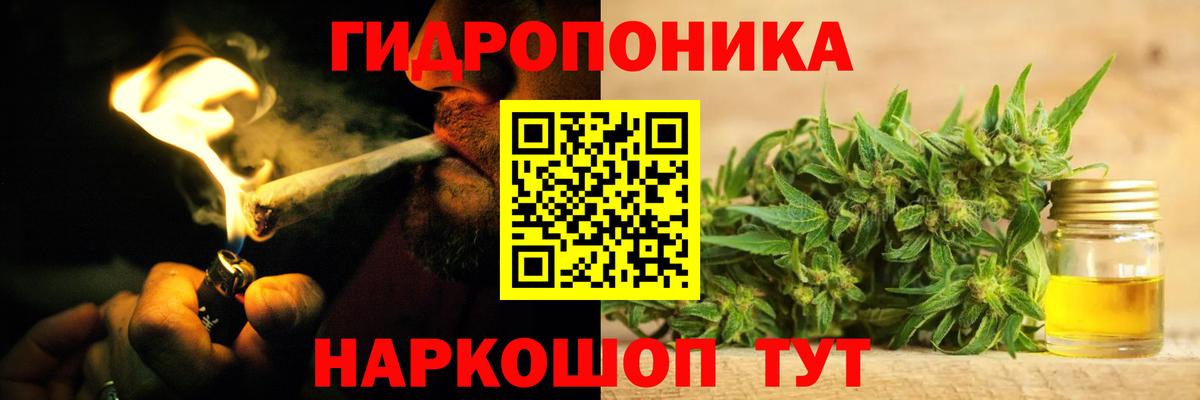 Канабис OG Kush  Шишки марихуана THC 21%  Сыктывкар  Вход с VPN 